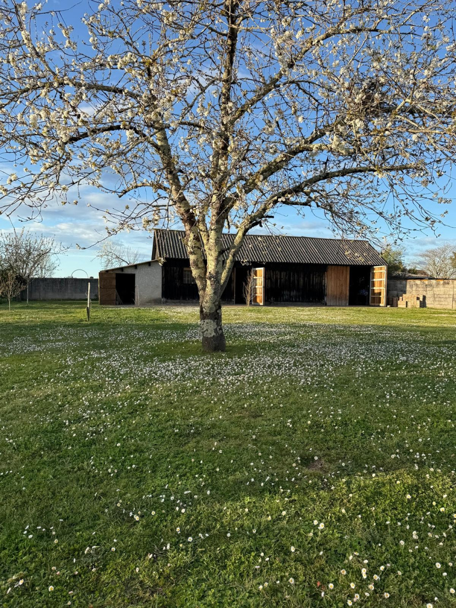 
                                                Vente
                                                 Maison avec grand terrain et dépendances