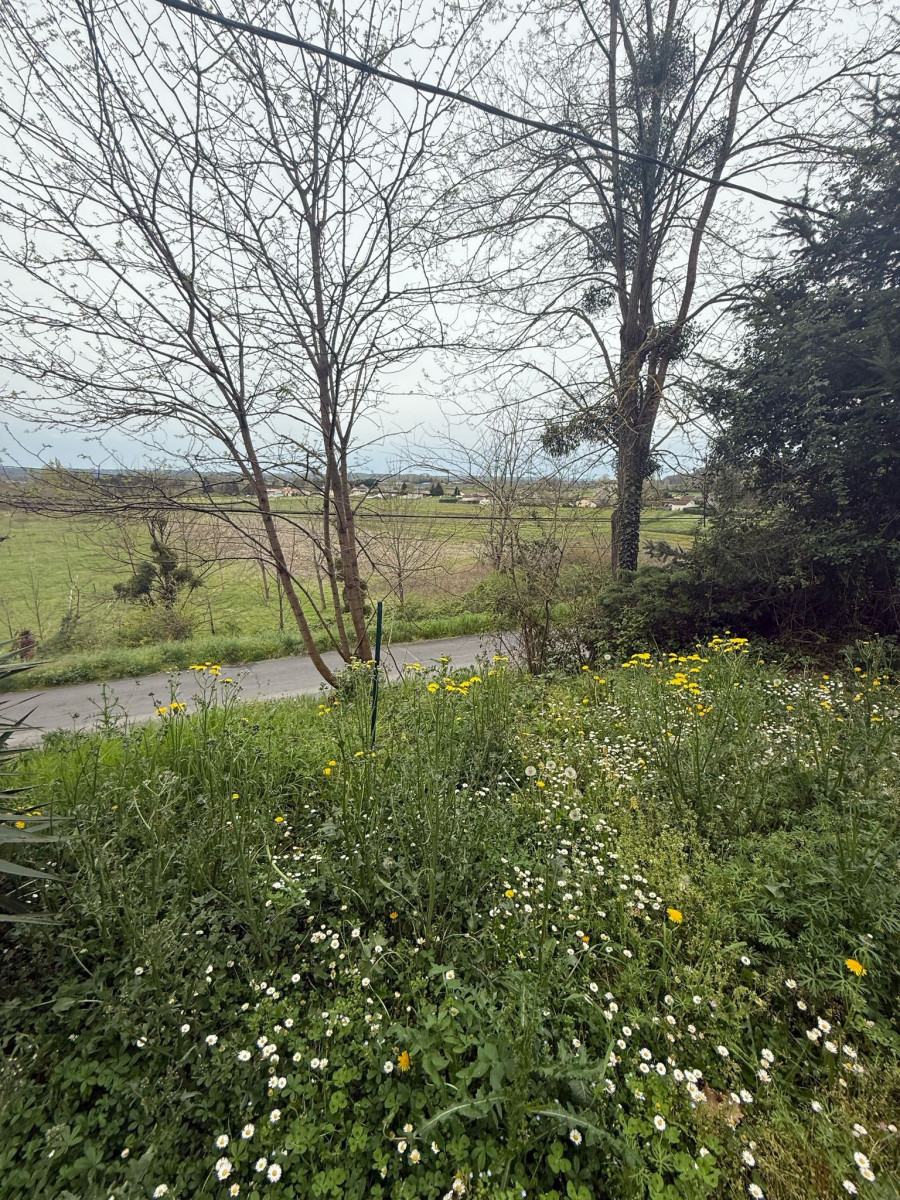 
                                                Vente
                                                 MAISON CONTEMPORAINE