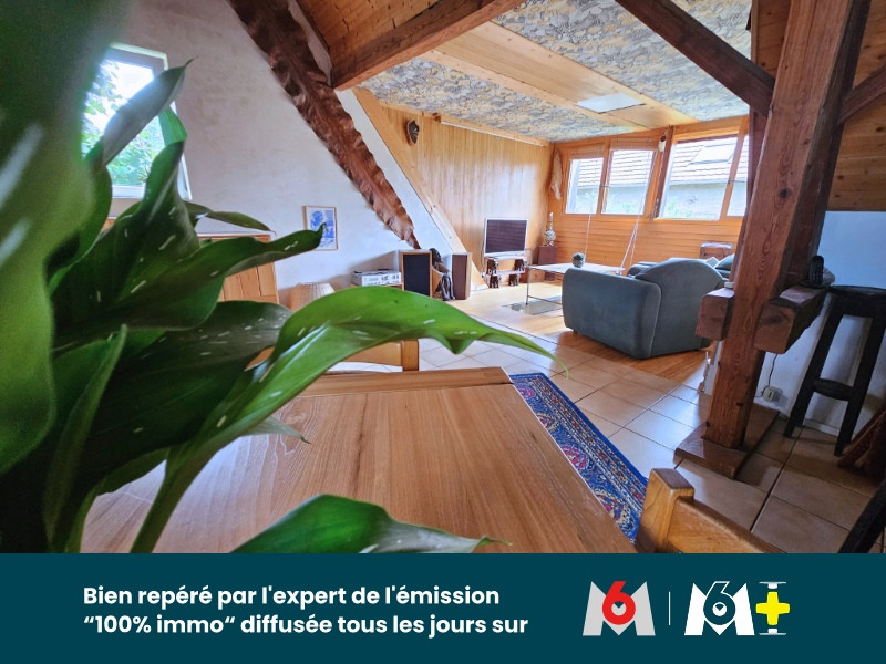 
                                                Vente
                                                 Maison d’artiste avec piscine naturelle, sauna et dépendance – 12 ares – Algolsheim