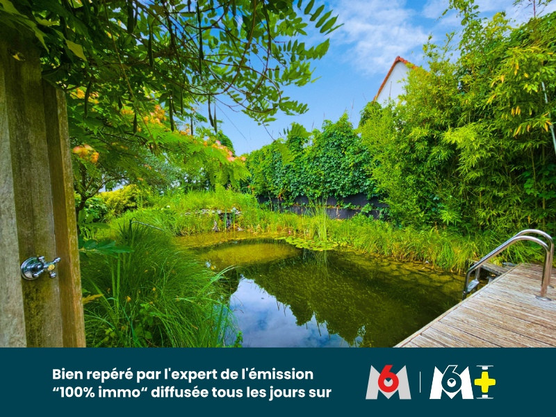 
                                                Vente
                                                 Maison d’artiste avec piscine naturelle, sauna et dépendance – 12 ares – Algolsheim