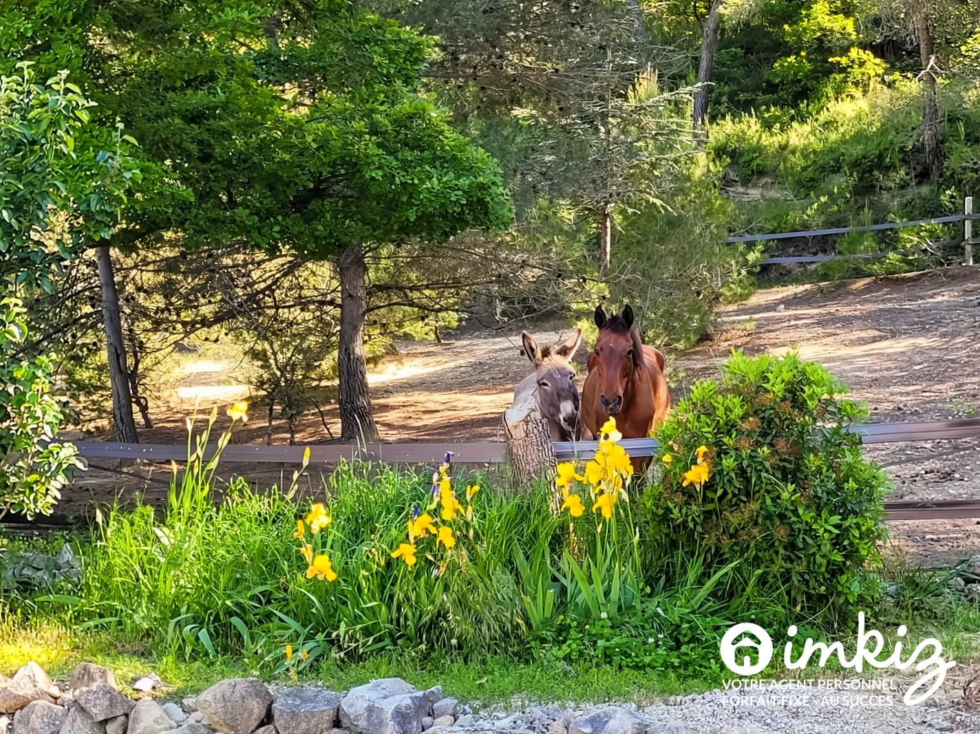 
                                                Vente
                                                 Maison d'architecte 13 pces ,2 log.ou unifamiliale