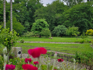 
                                                Vente
                                                 Maison de 214m2 avec dépendances