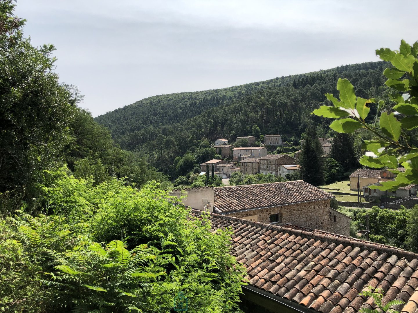 
                                                Vente
                                                 Maison de campagne - Cévennes