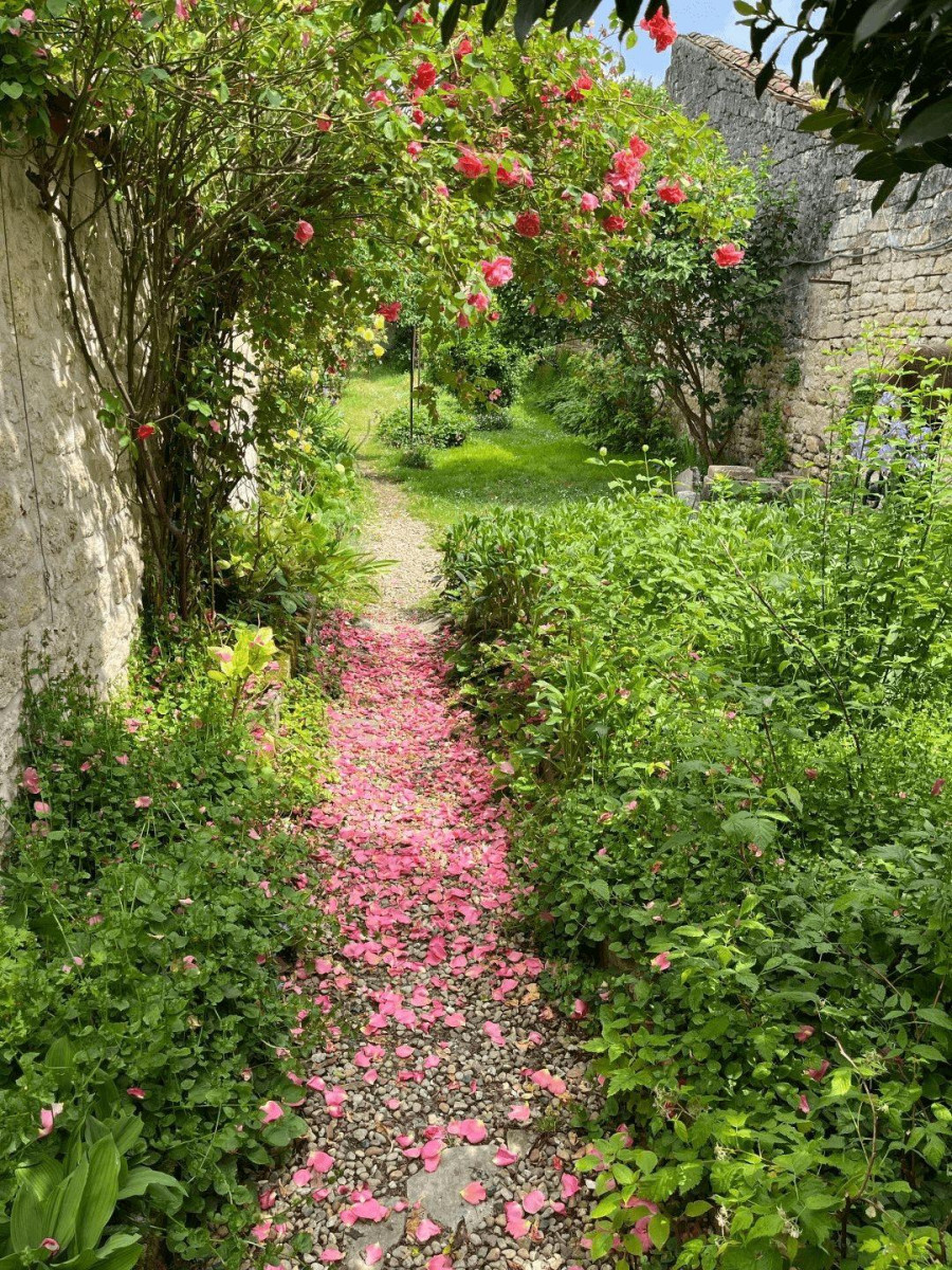 
                                                Location
                                                 Maison de famille avec jardin sur la Charente