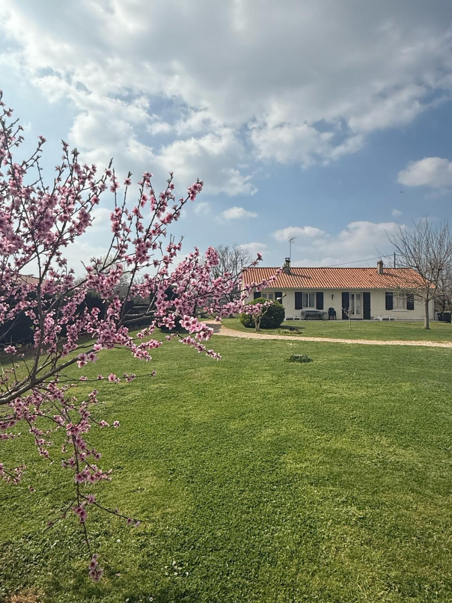 
                                                Vente
                                                 Maison de plain-pied rénovée terrain de 2 862 m2