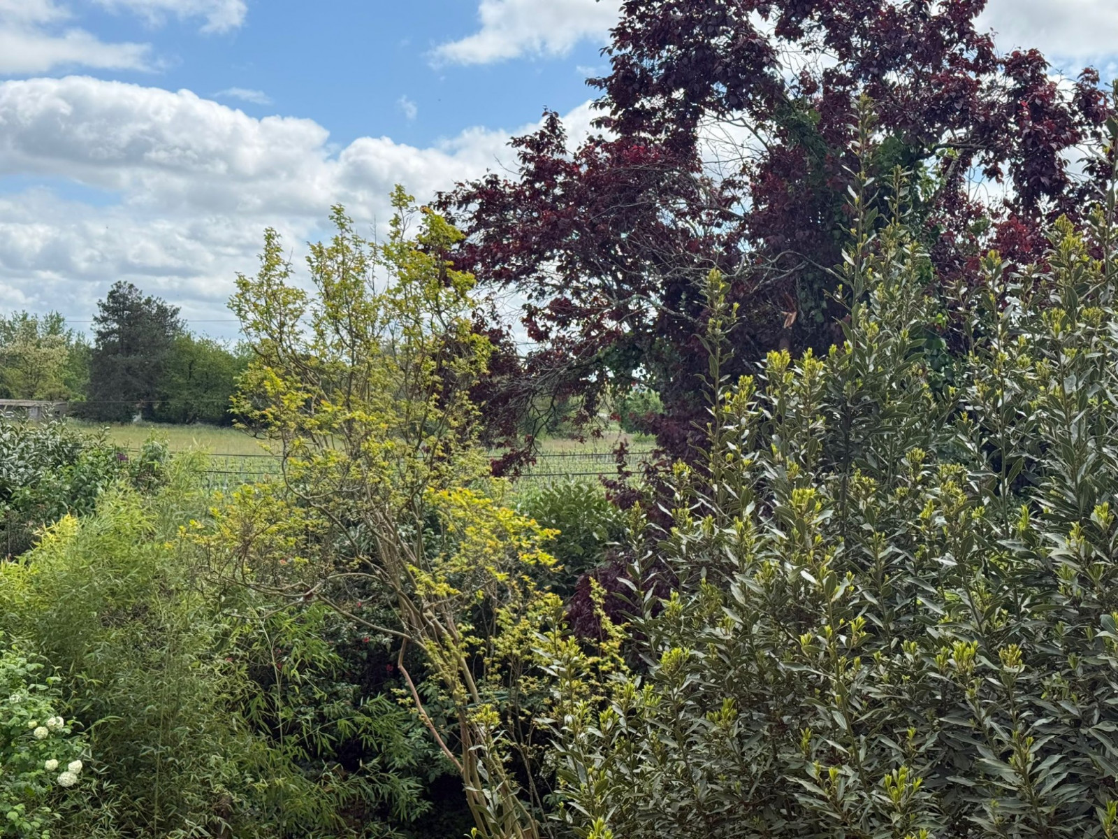 
                                                Vente
                                                 MAISON EN PIERRE : DÉPENDANCE ET PISCINE À RÉNOVER