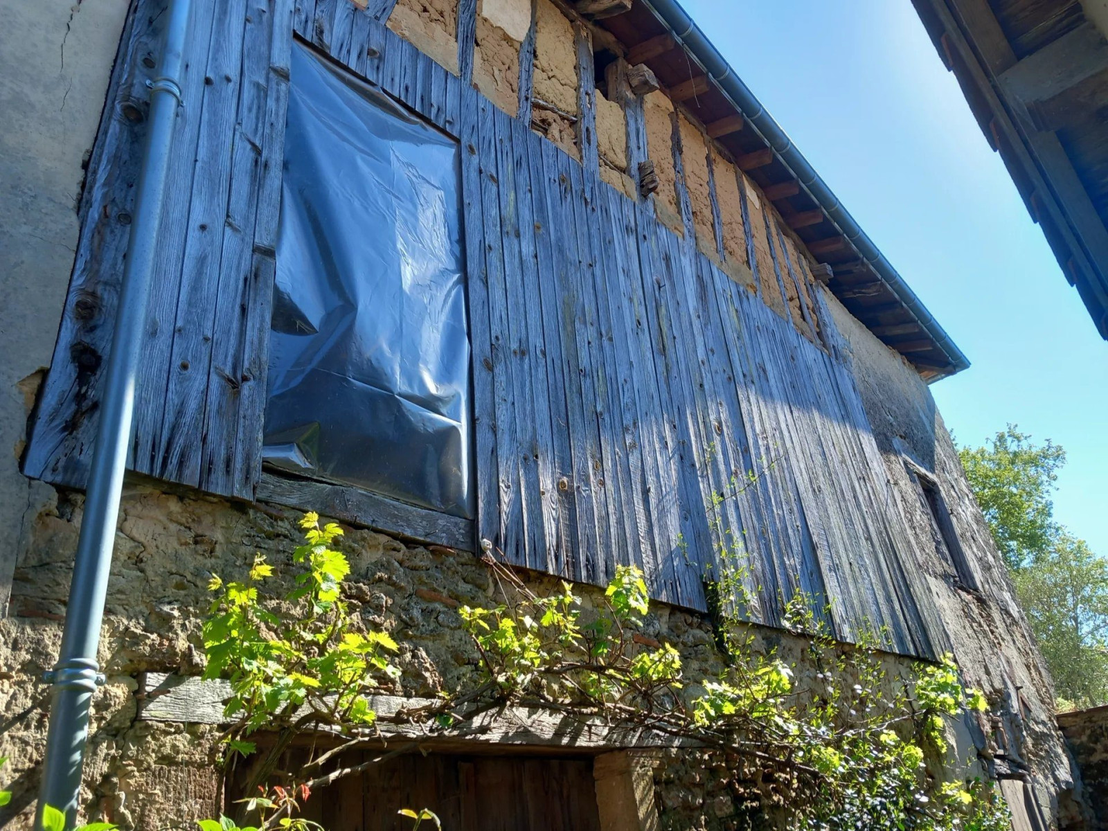 
                                                Vente
                                                 Maison et atelier à vendre | Labastide d'Armagnac | Landes (40)