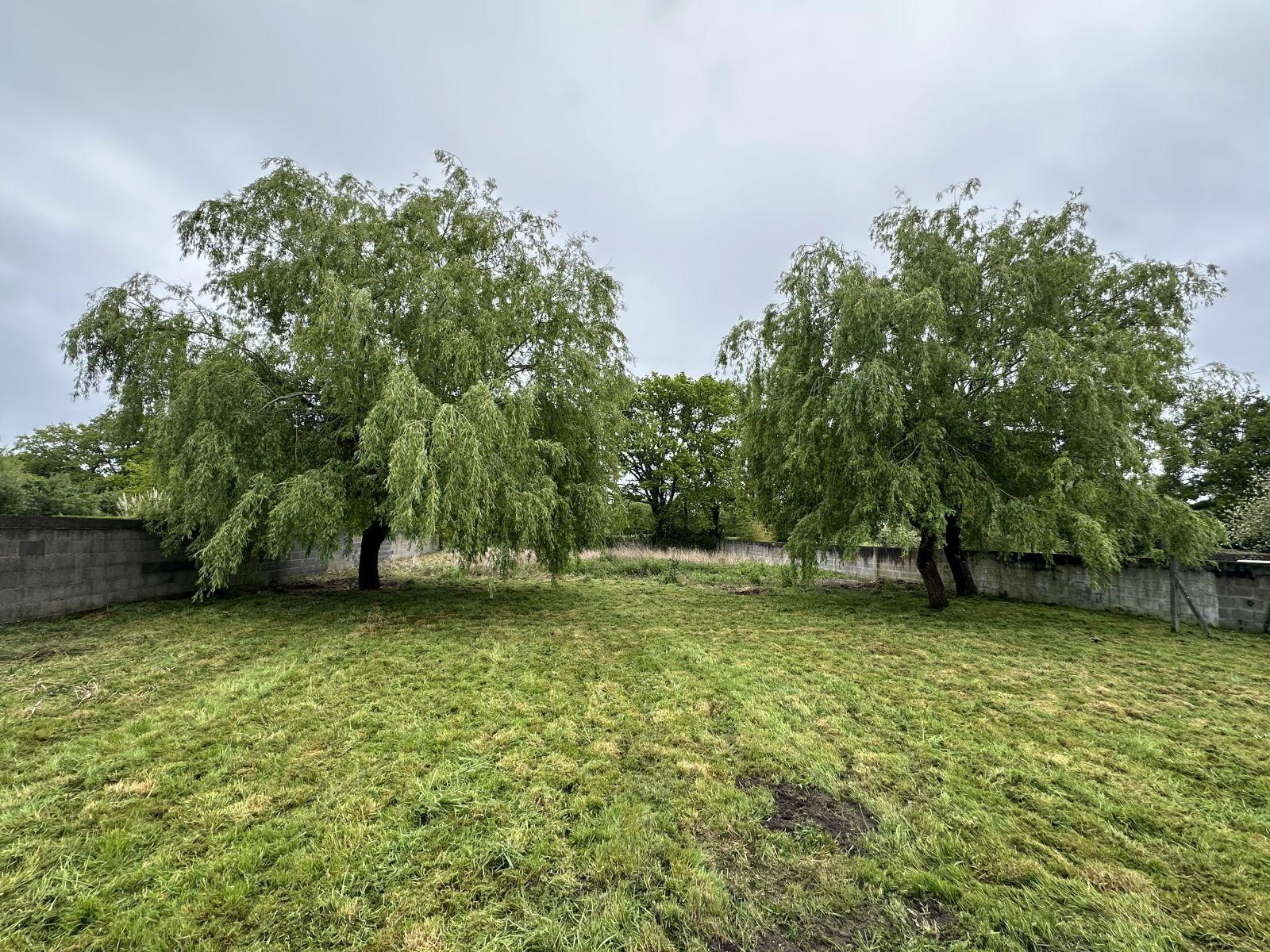 
                                                Location
                                                 MAISON FAMILIALE LUMINEUSE ENVIRONNEMENT CALME
