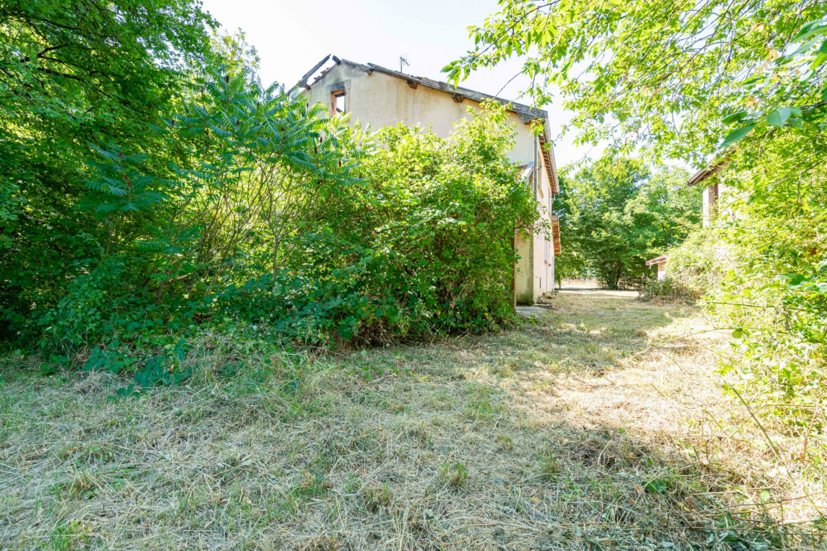 
                                                Vente
                                                 Maison forestière - 103 m² - Hallignicourt