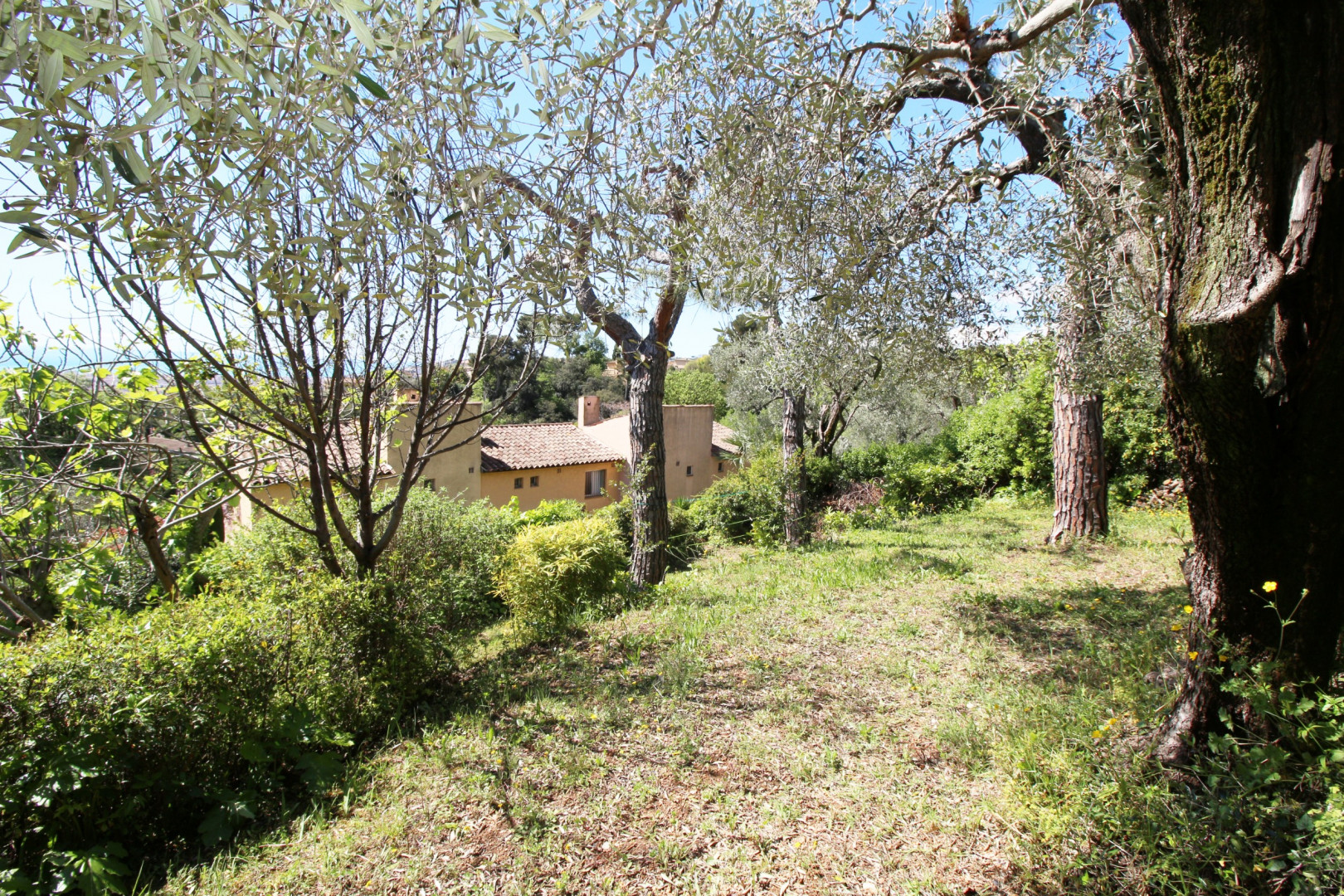 
                                                Vente
                                                 Maison Nice Gairaut 108m2 Vue Mer au calme avec 600m2 de jardin