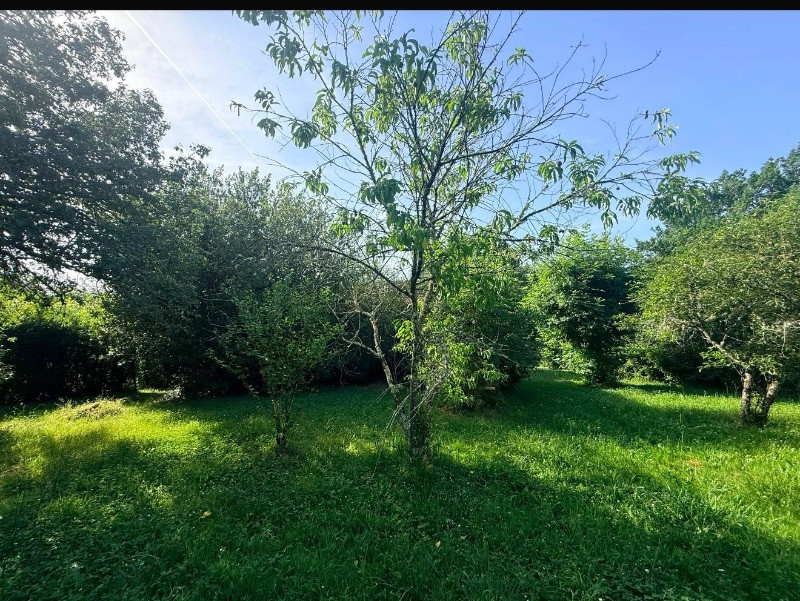 
                                                Vente
                                                 Maison plain pied 3 chambres avec grange attenante, terrain de 1150m2