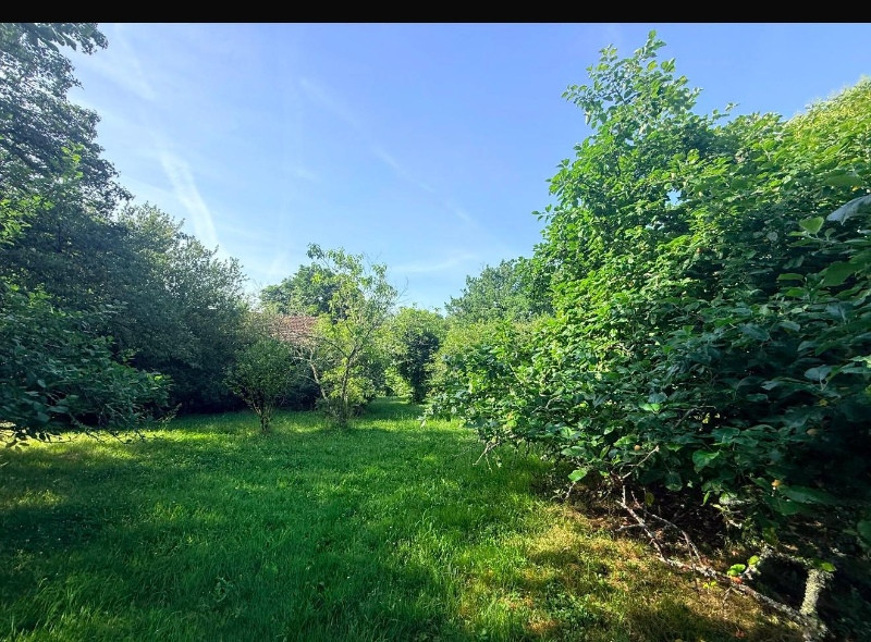 
                                                Vente
                                                 Maison plain pied 3 chambres avec grange attenante, terrain de 1150m2