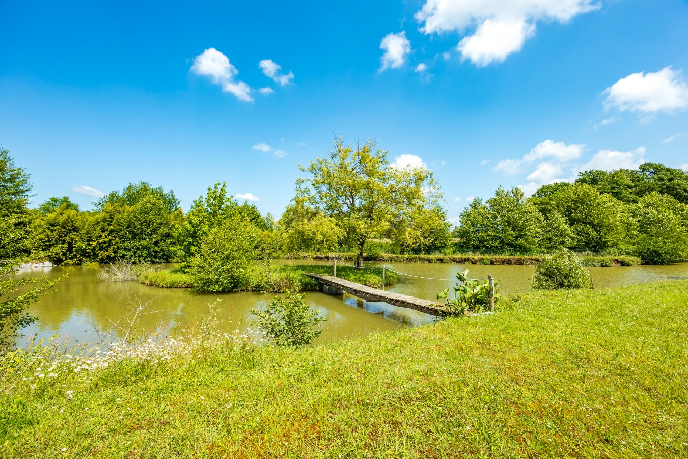 
                                                Vente
                                                 Maison St Jean de Marsacq