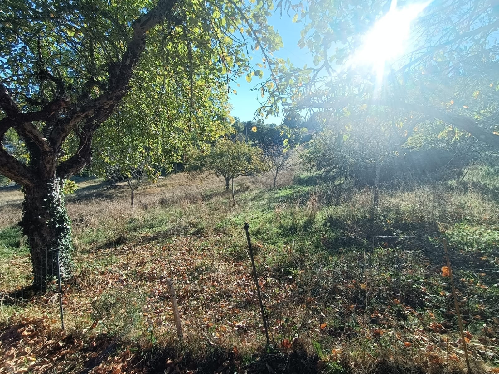 
                                                Vente
                                                 Maison T2 Libre à Sarlat-la-Canéda