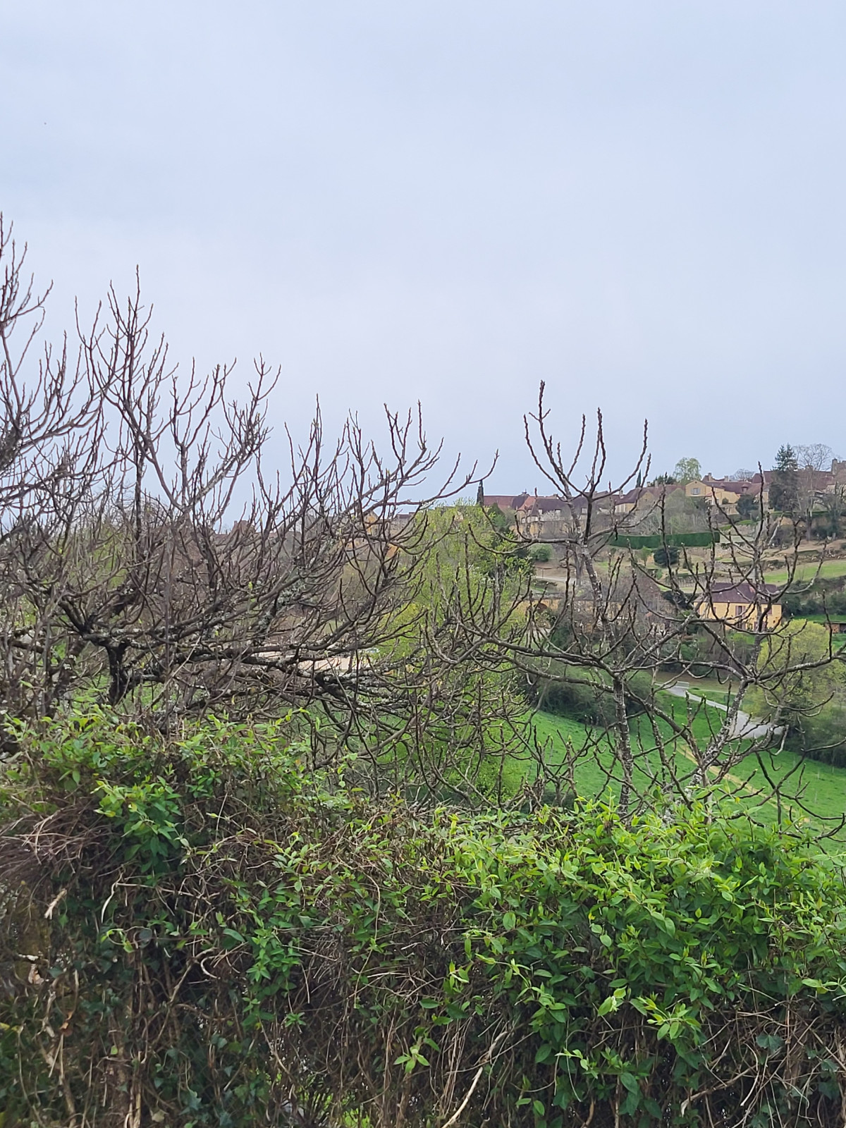 
                                                Location
                                                 Maison T4 85.53m² à Domme