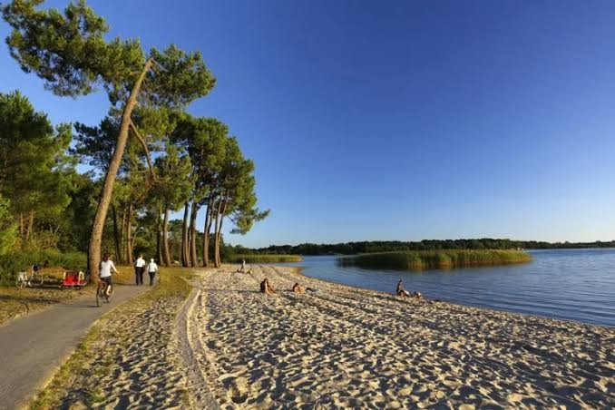 
                                                Vente
                                                 MAISON + TERRAIN à SANGUINET