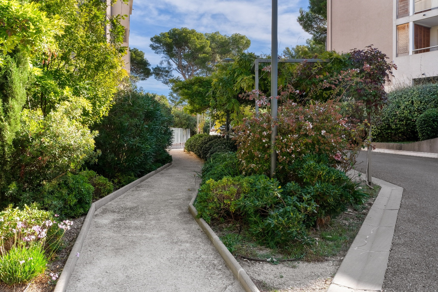 
                                                Vente
                                                 Marseille - 9ème