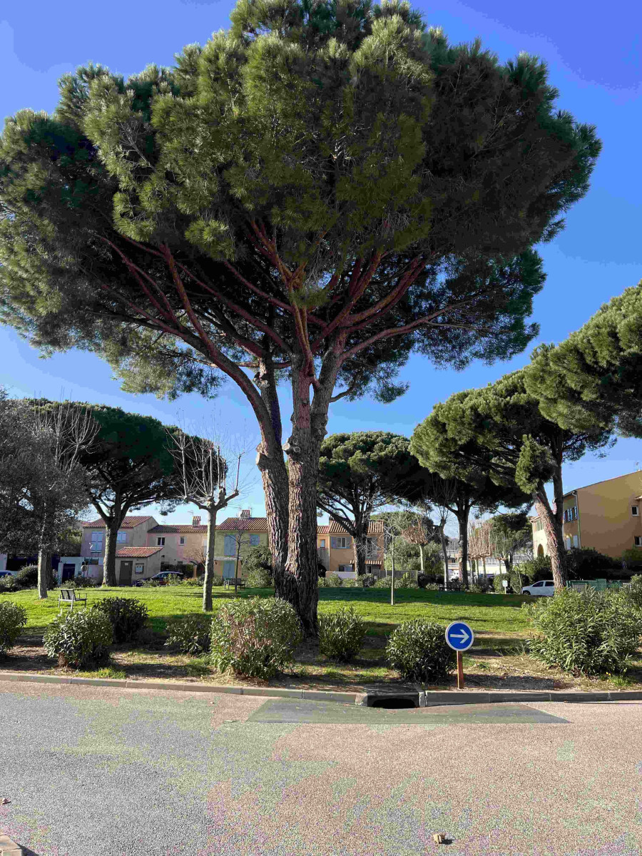 
                                                Vente
                                                 Mazet 3 pièces 44 m2 avec 2 terrasses La Londe Les Maures