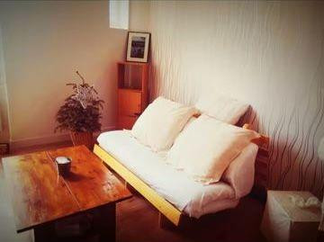 
                                                Location
                                                 Meublé T1 + mezzanine de 24m2 Hôpitaux Montplaisir