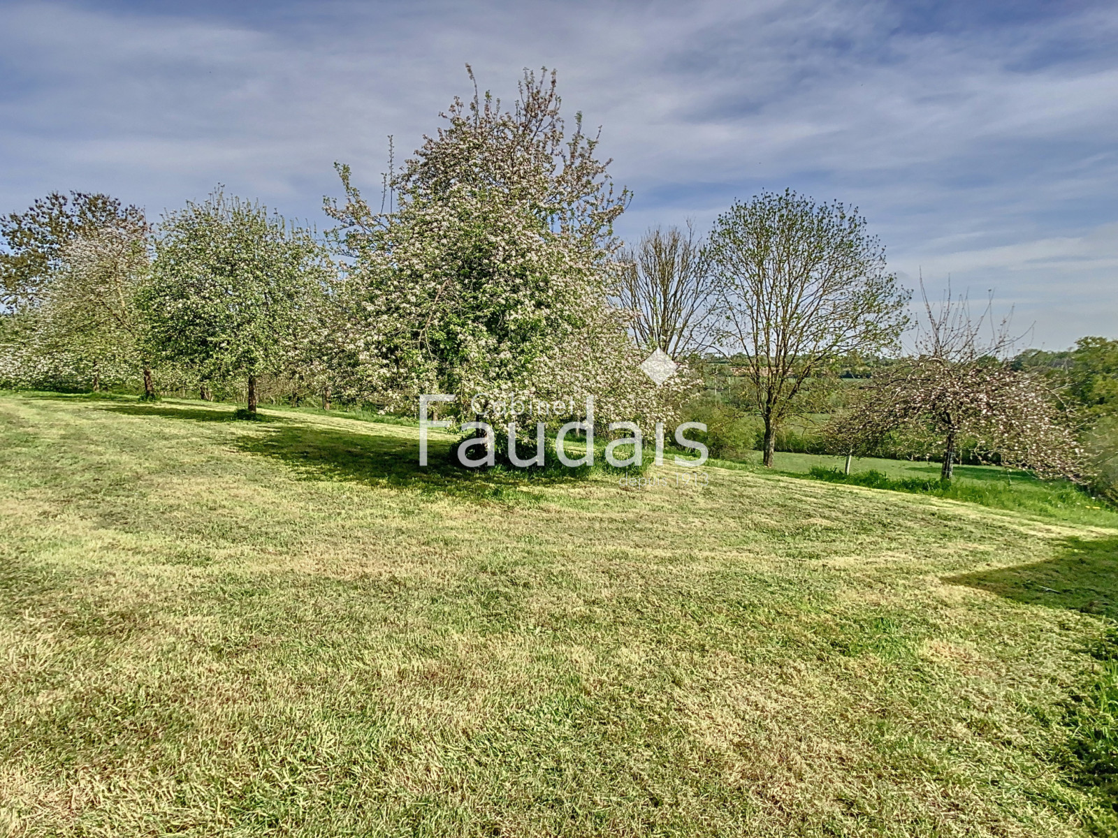 
                                                Vente
                                                 MOON-SUR-ELLE Maison en pierre avec 2.4ha