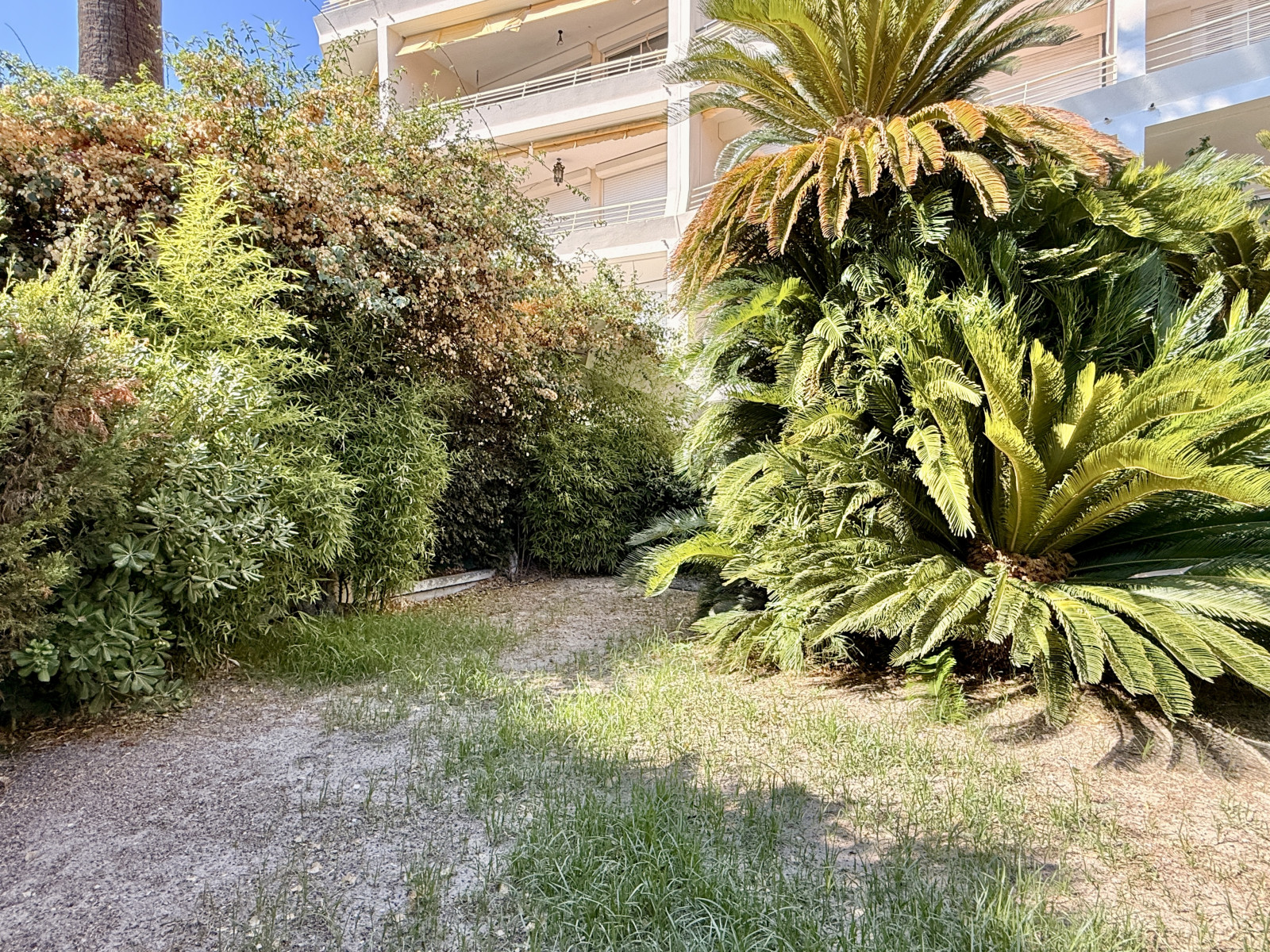 
                                                Vente
                                                 Nice Cimiez - Proche Centre ville et collège Stanislas, beau 3 pièces 87m2 en Rez de Jardin