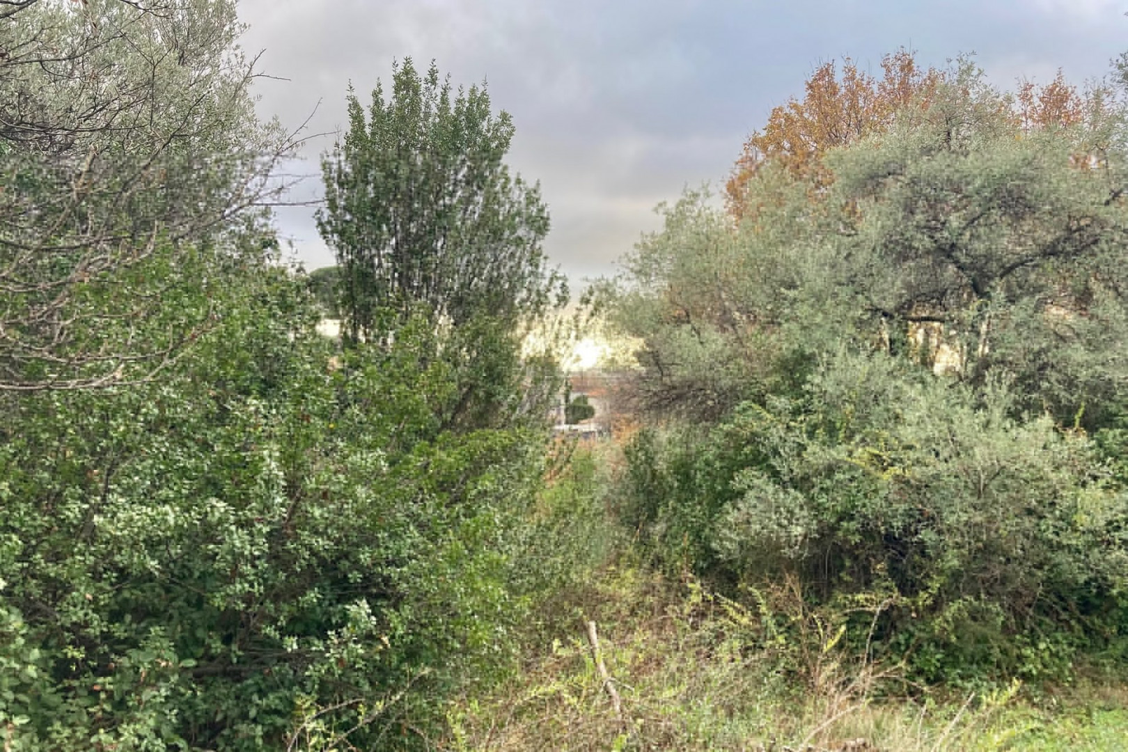 
                                                Vente
                                                 NICE Cimiez - Terrain constructible