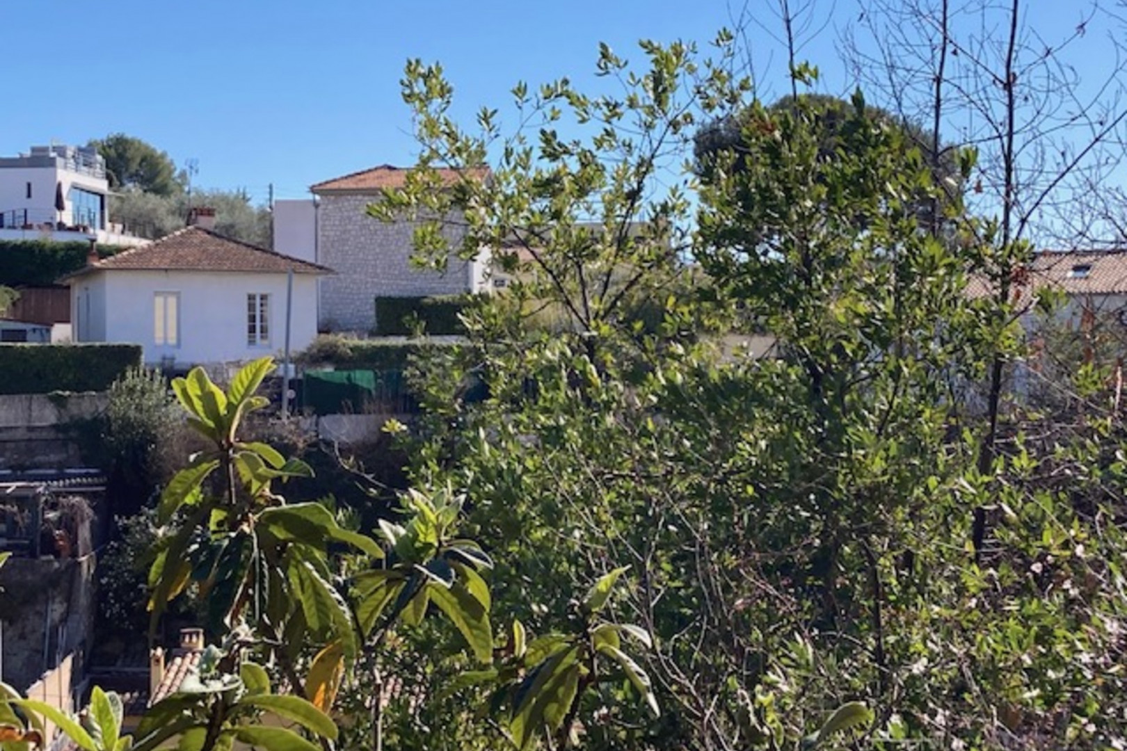 
                                                Vente
                                                 NICE Cimiez - Terrain constructible