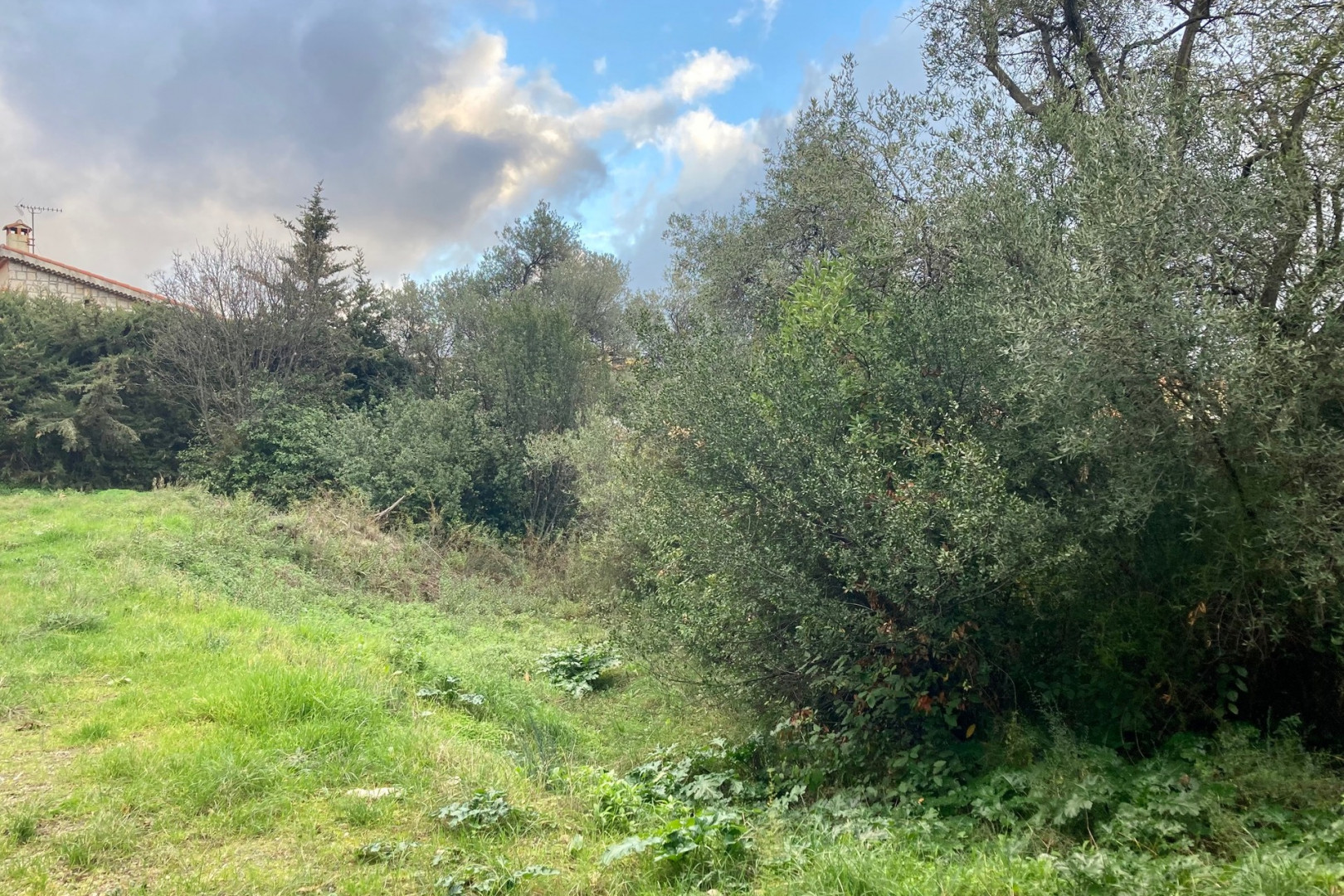 
                                                Vente
                                                 NICE Cimiez - Terrain constructible