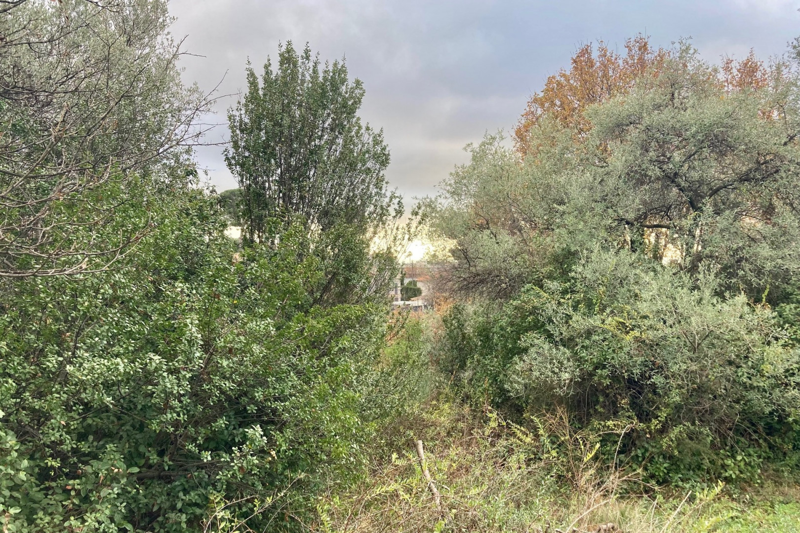 
                                                Vente
                                                 NICE Cimiez - Terrain constructible