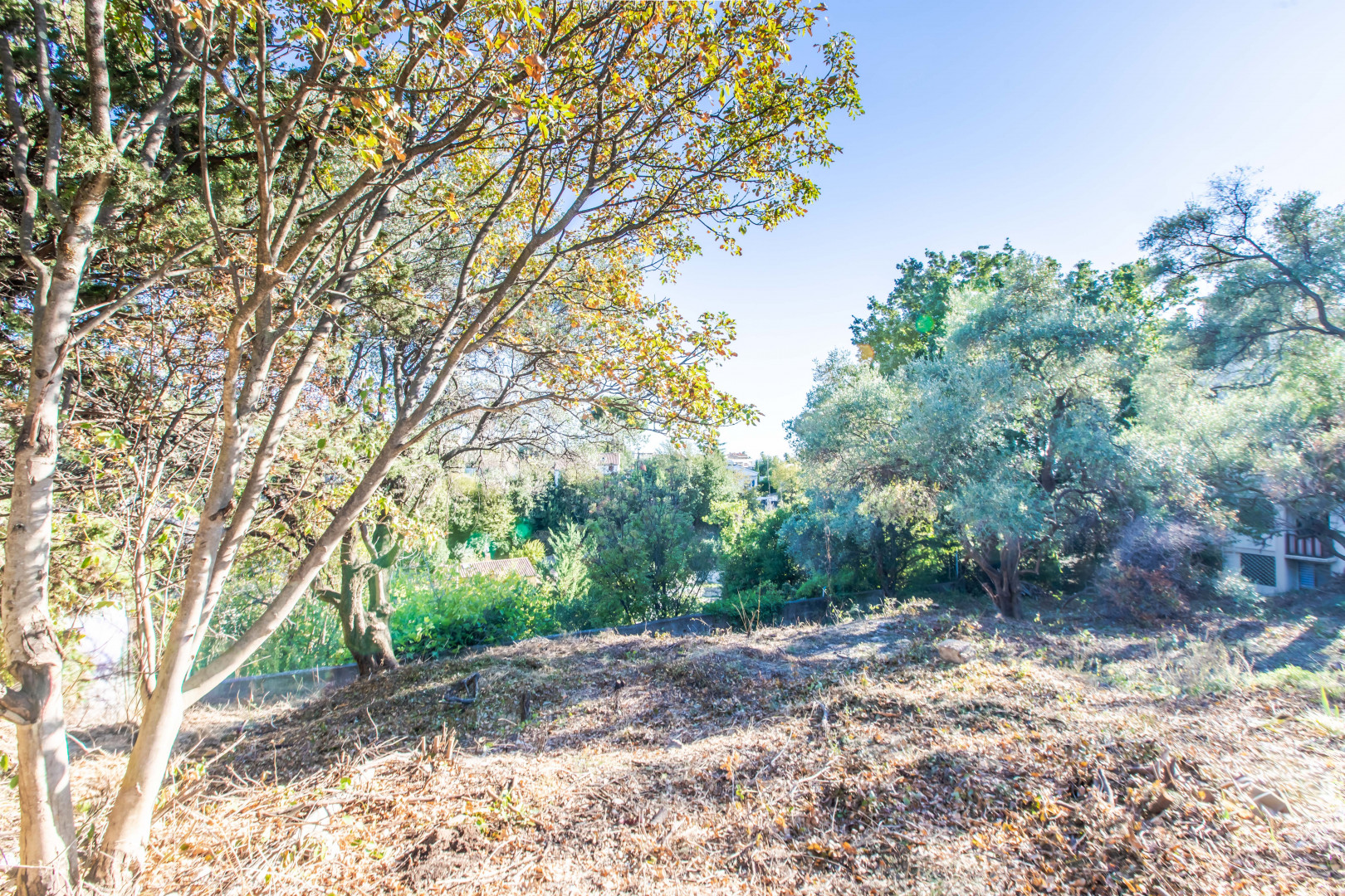 
                                                Vente
                                                 NICE Cimiez - Terrain constructible