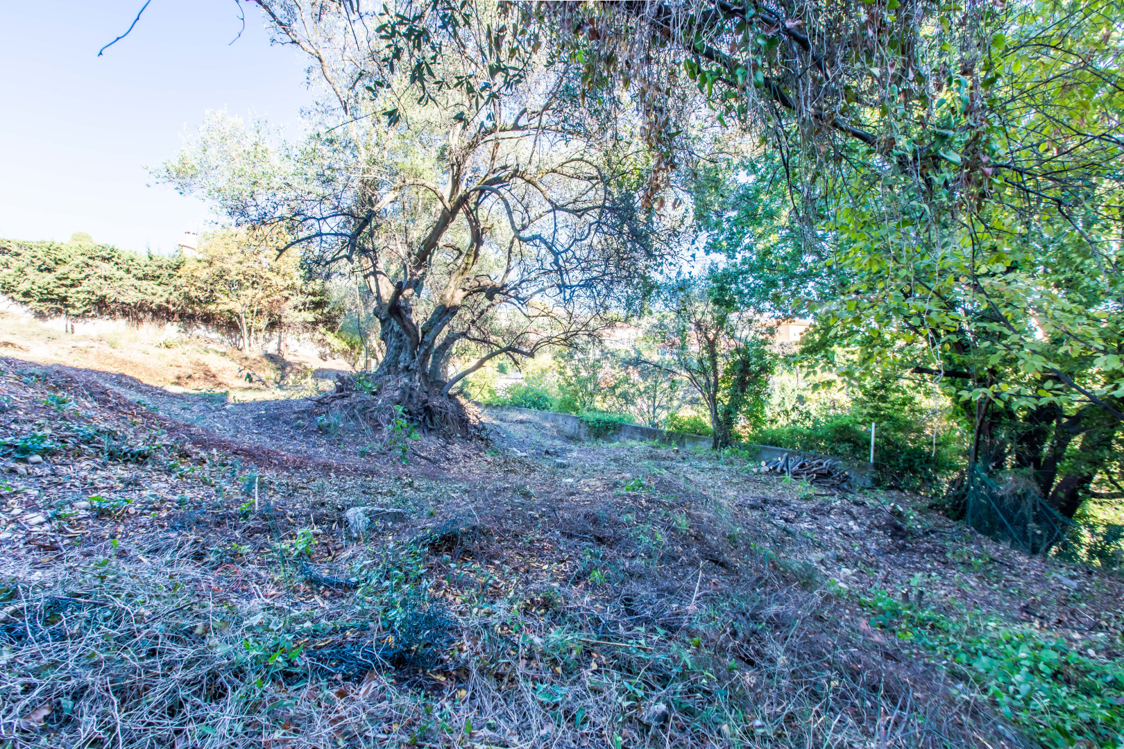 
                                                Vente
                                                 NICE Cimiez - Terrain constructible Maison individuelle