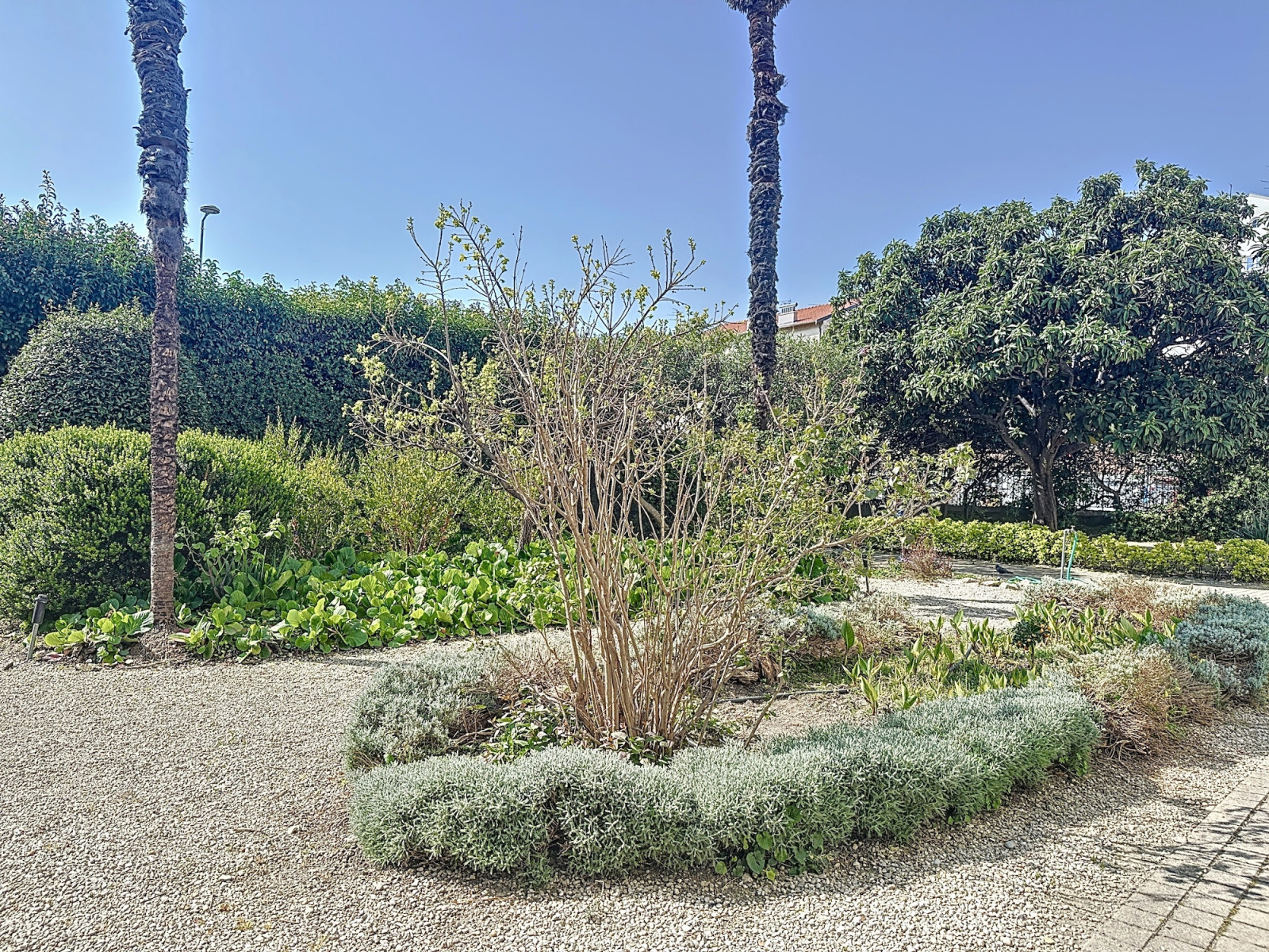 
                                                Vente
                                                 Nice Valrose - Charmant 2 pièces en duplex dans un Palais Belle Epoque entouré de jardins