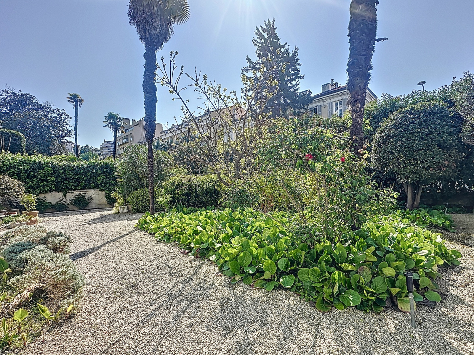 
                                                Vente
                                                 Nice Valrose - Charmant 2 pièces en duplex dans un Palais Belle Epoque entouré de jardins