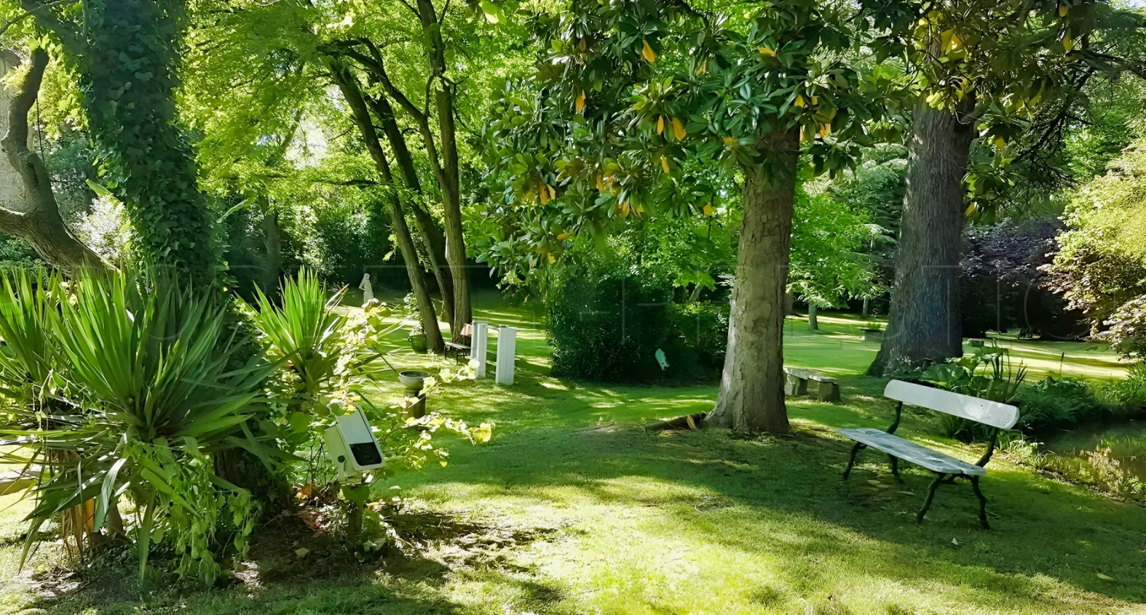 
                                                Vente
                                                 OCCITANIE DOMAINE MARIAGES EVENEMENTIEL 2,8 HA