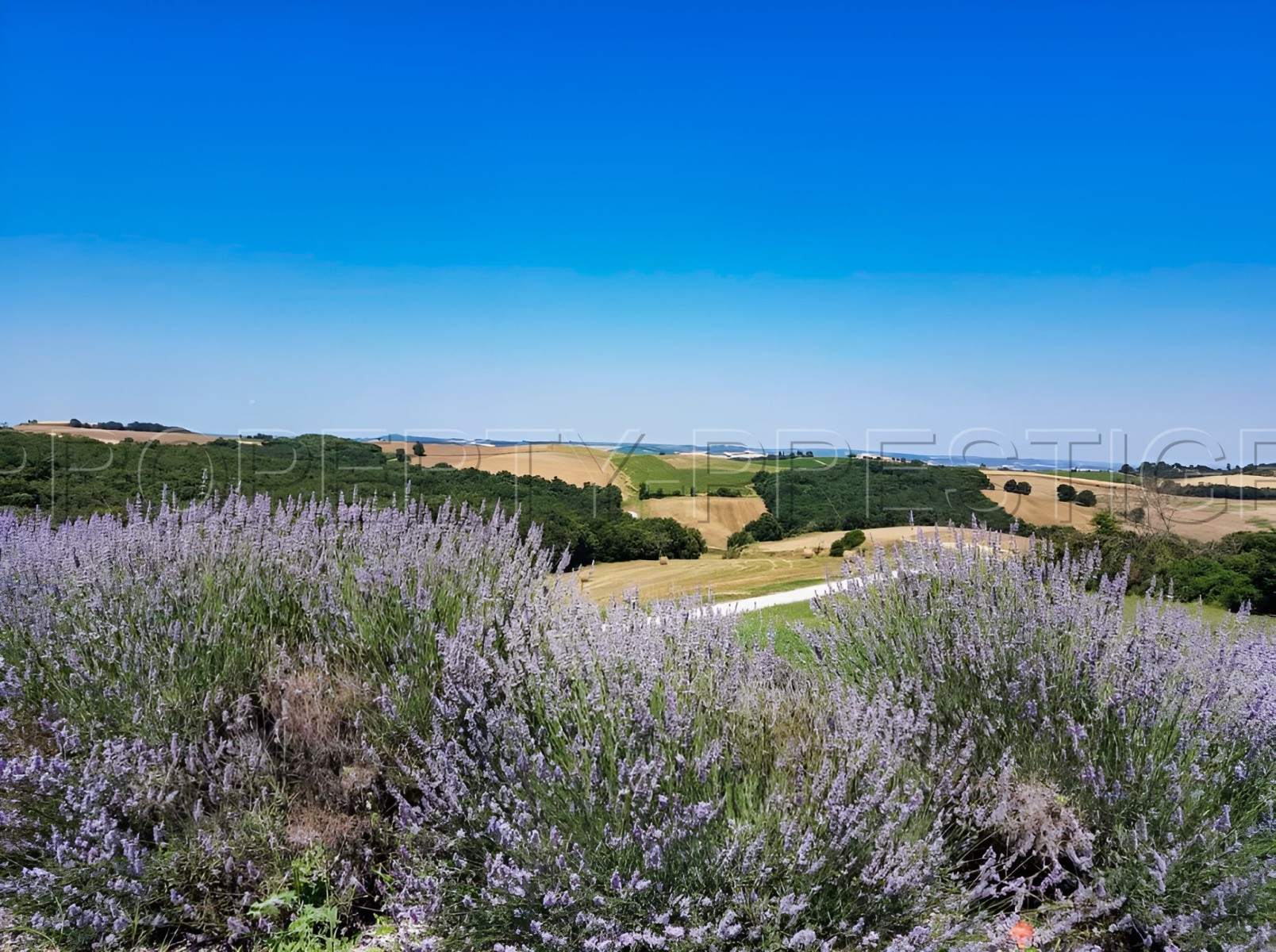 
                                                Vente
                                                 OCCITANIE PROPRIETE 820 HA LACS COLLINAIRES