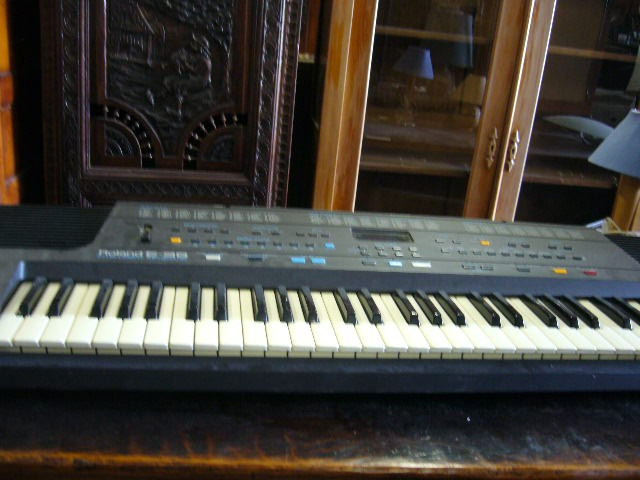 
                                                Instrument de musique
                                                 Orgue électrique, promotion