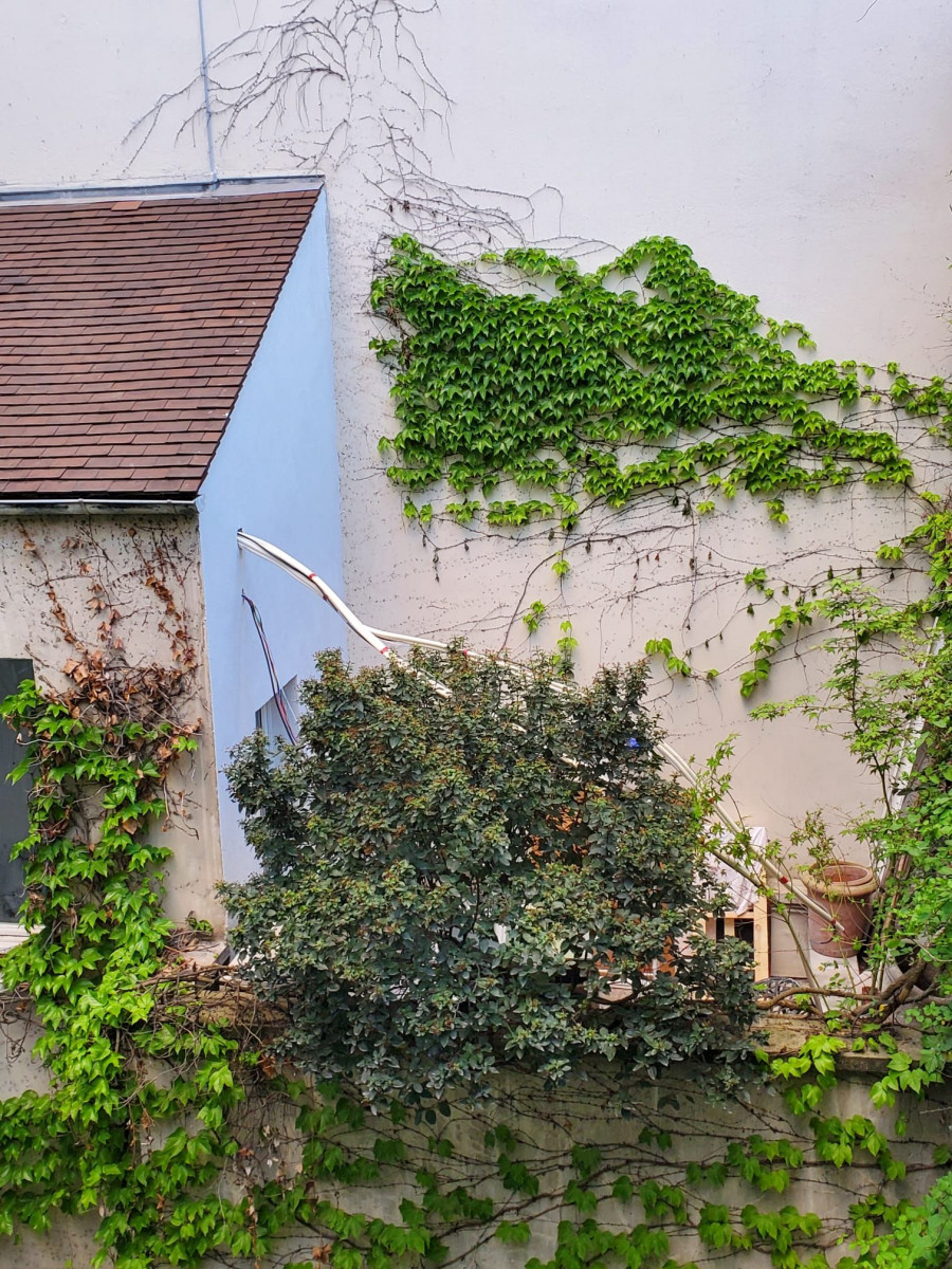 
                                                Location
                                                 Paris centre - 3 pièces cosy et calme à Notre Dame (loyer tout inclus)