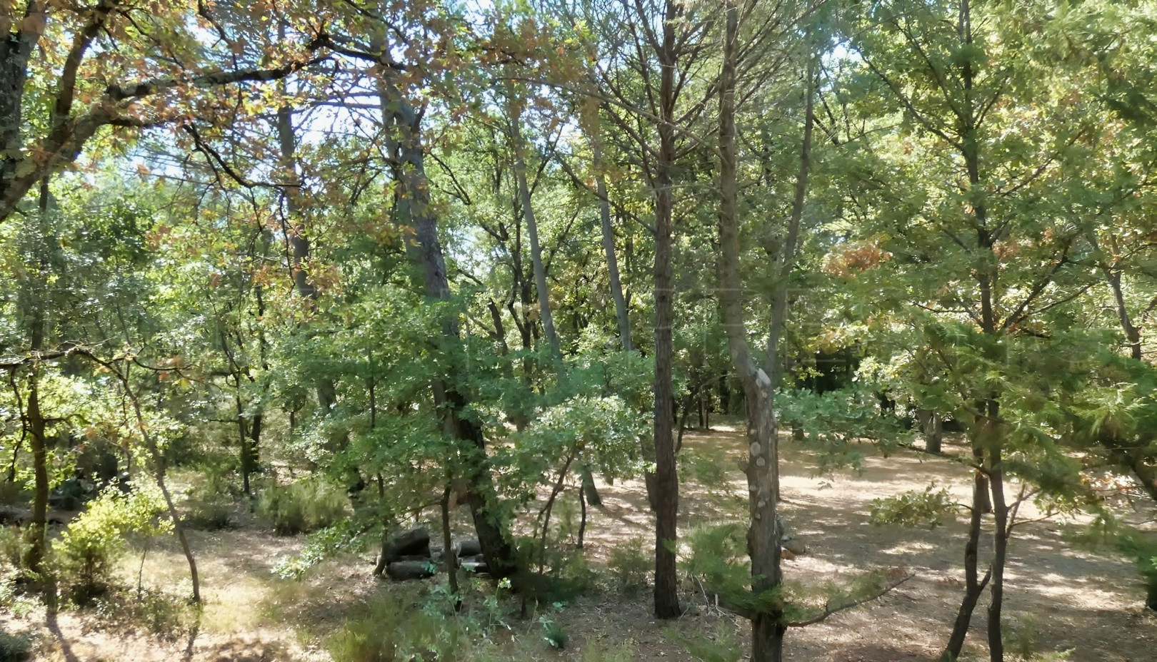 
                                                Vente
                                                 PAYS D’AIX MAS DE CARACTERE 5,5 HA HAVRE DE PAIX