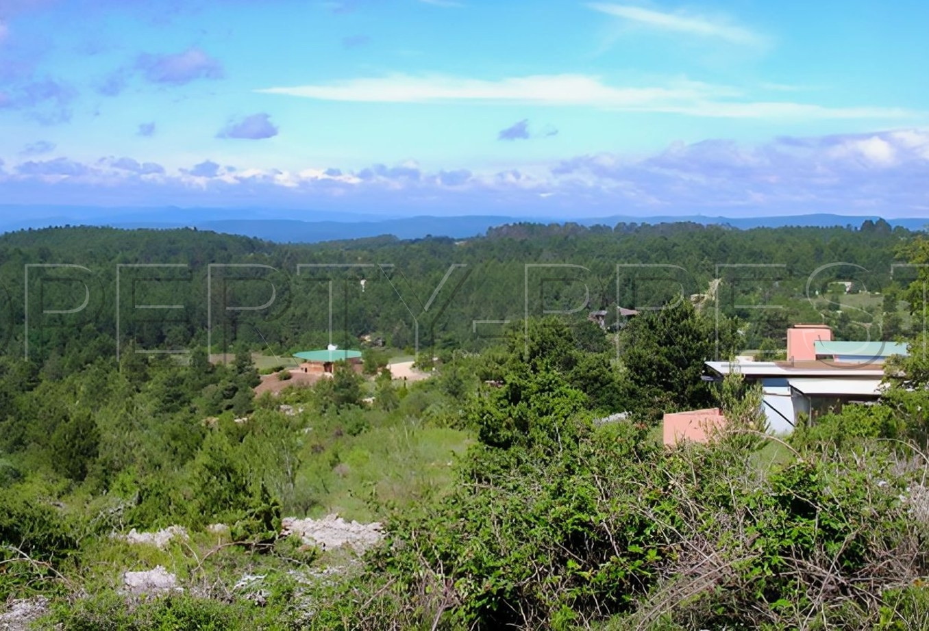 
                                                Vente
                                                 PAYS DE LODEVE DOMAINE D'EXCEPTION 30 HA