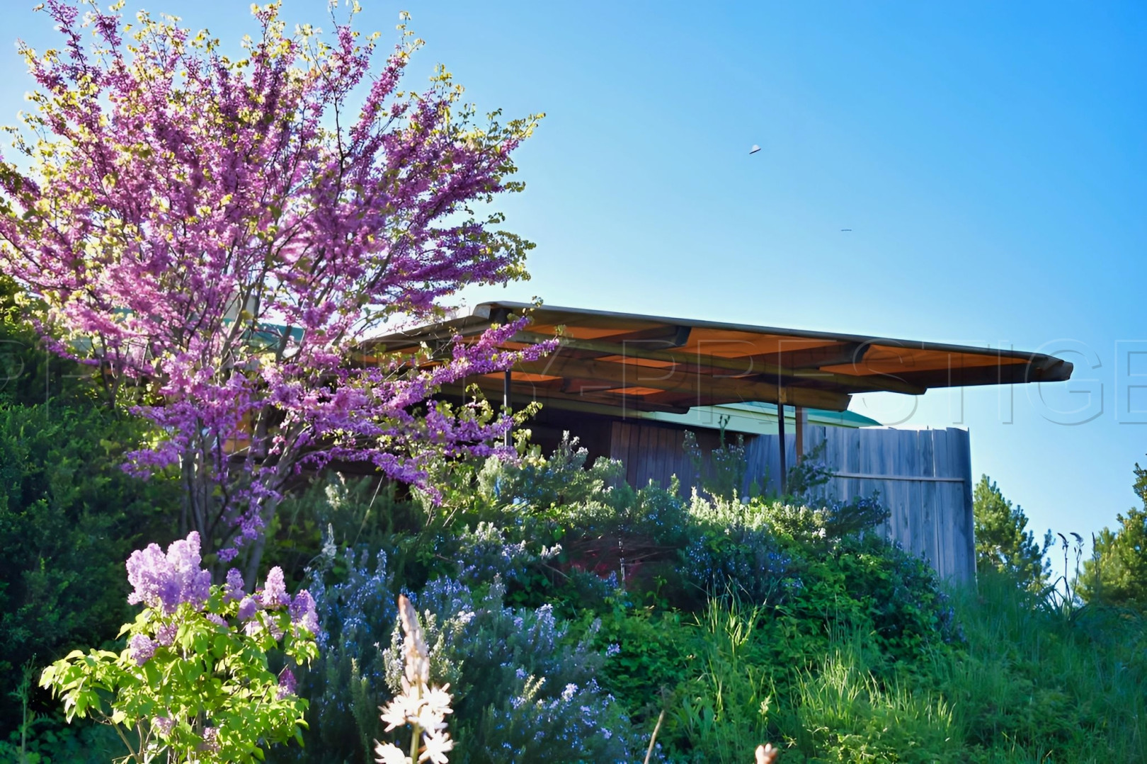 
                                                Vente
                                                 PAYS DE LODEVE DOMAINE D'EXCEPTION 30 HA