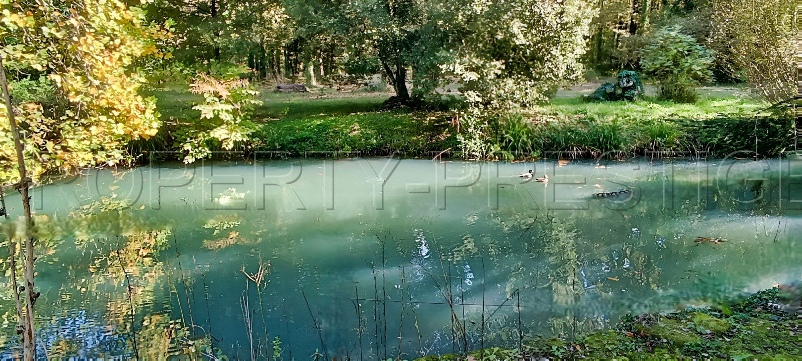 
                                                Vente
                                                 PERIGORD – ANCIEN MOULIN A RENOVER – 5 HA