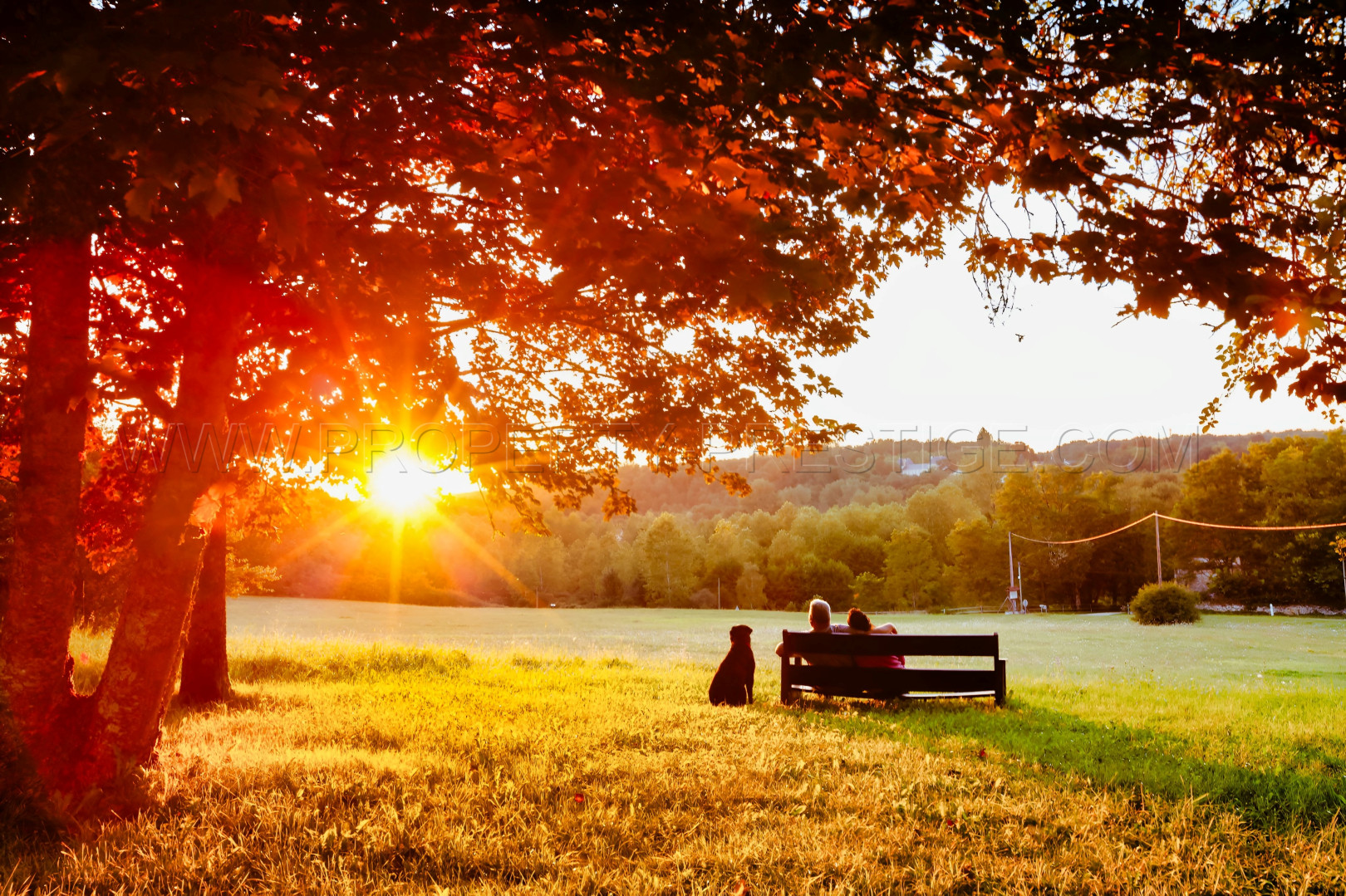 
                                                Vente
                                                 PERIGORD DOMAINE AVEC PRL 24 HA MARIAGES