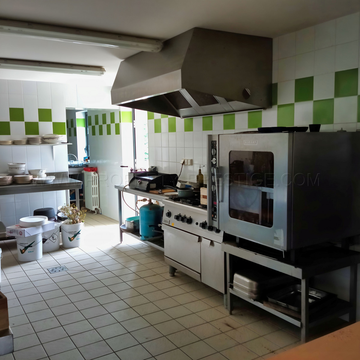 
                                                Vente
                                                 PERIGORD DOMAINE GITES RECEPTIONS CHASSE 100 HA