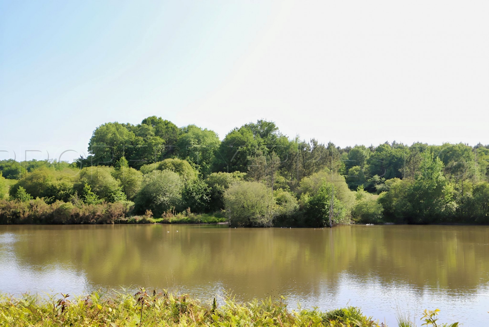 
                                                Vente
                                                 PERIGORD DOMAINE GITES RECEPTIONS CHASSE 100 HA