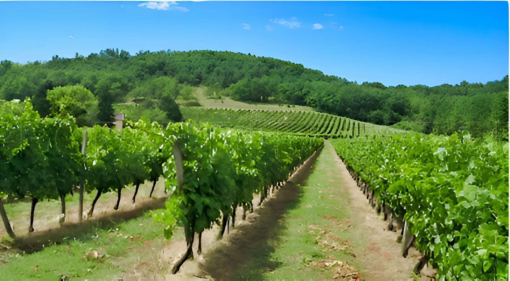 
                                                Vente
                                                 PERIGORD NOIR DOMAINE D’EXCEPTION MARIAGES 100 HA