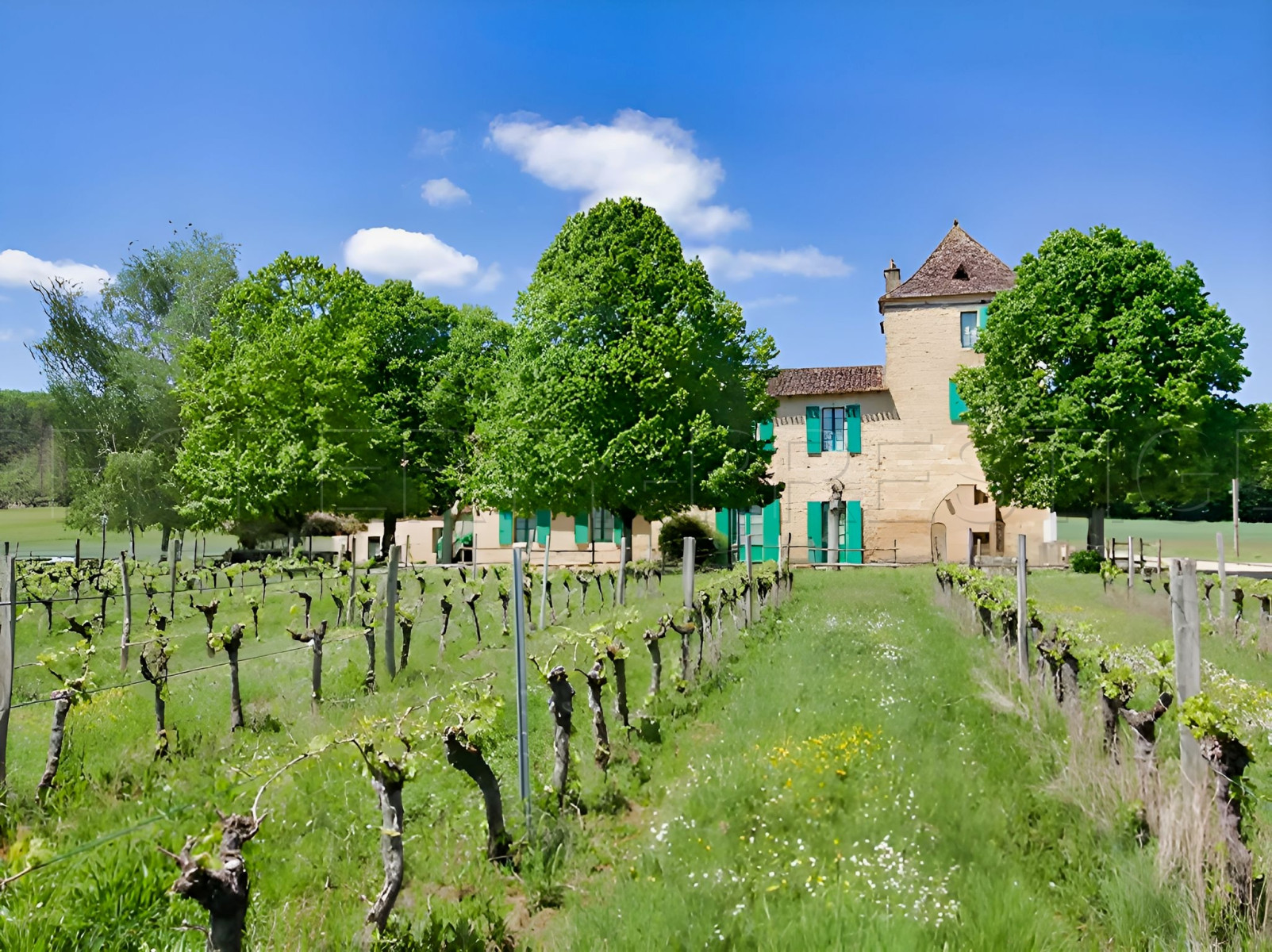 
                                                Vente
                                                 PERIGORD NOIR DOMAINE D’EXCEPTION MARIAGES 100 HA