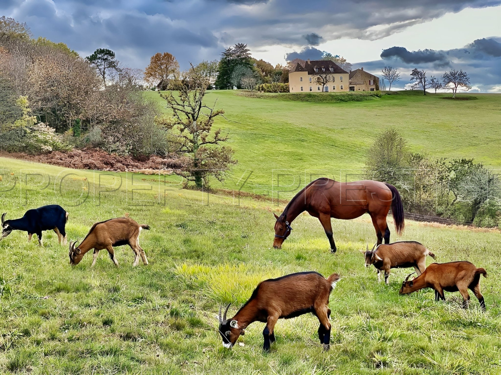 
                                                Vente
                                                 PERIGORD NOIR MANOIR GÎTES CHAMBRES D'HÔTES 27 HA