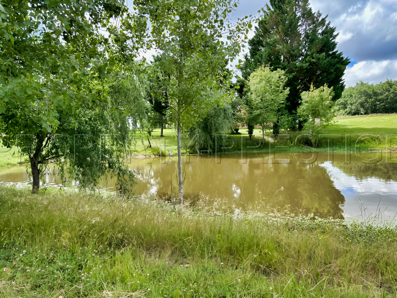 
                                                Vente
                                                 PERIGORD PROPRIETE RURALE 10 HA ETANG