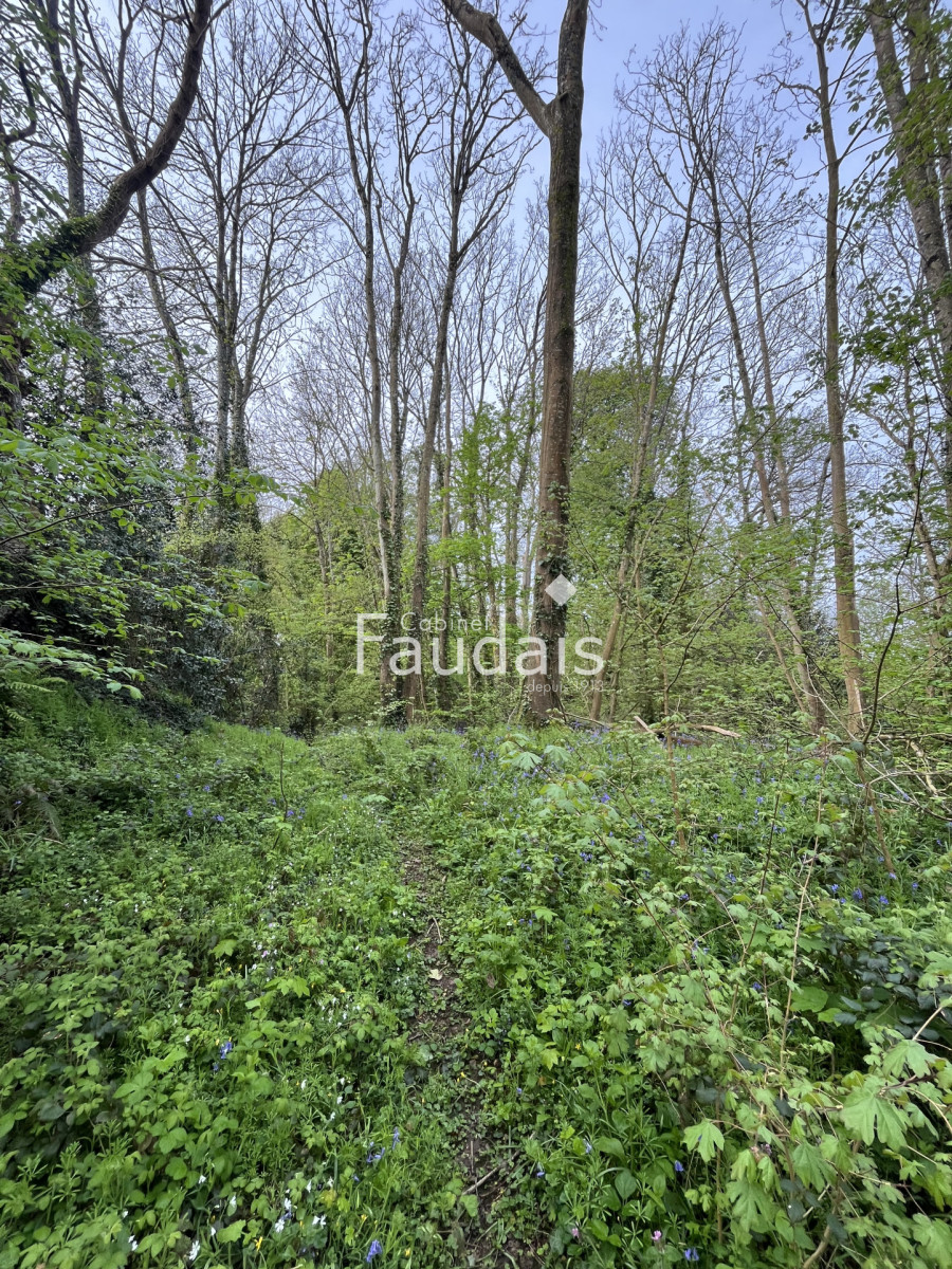 
                                                Vente
                                                 petit bois AGNEAUX proche Mairie