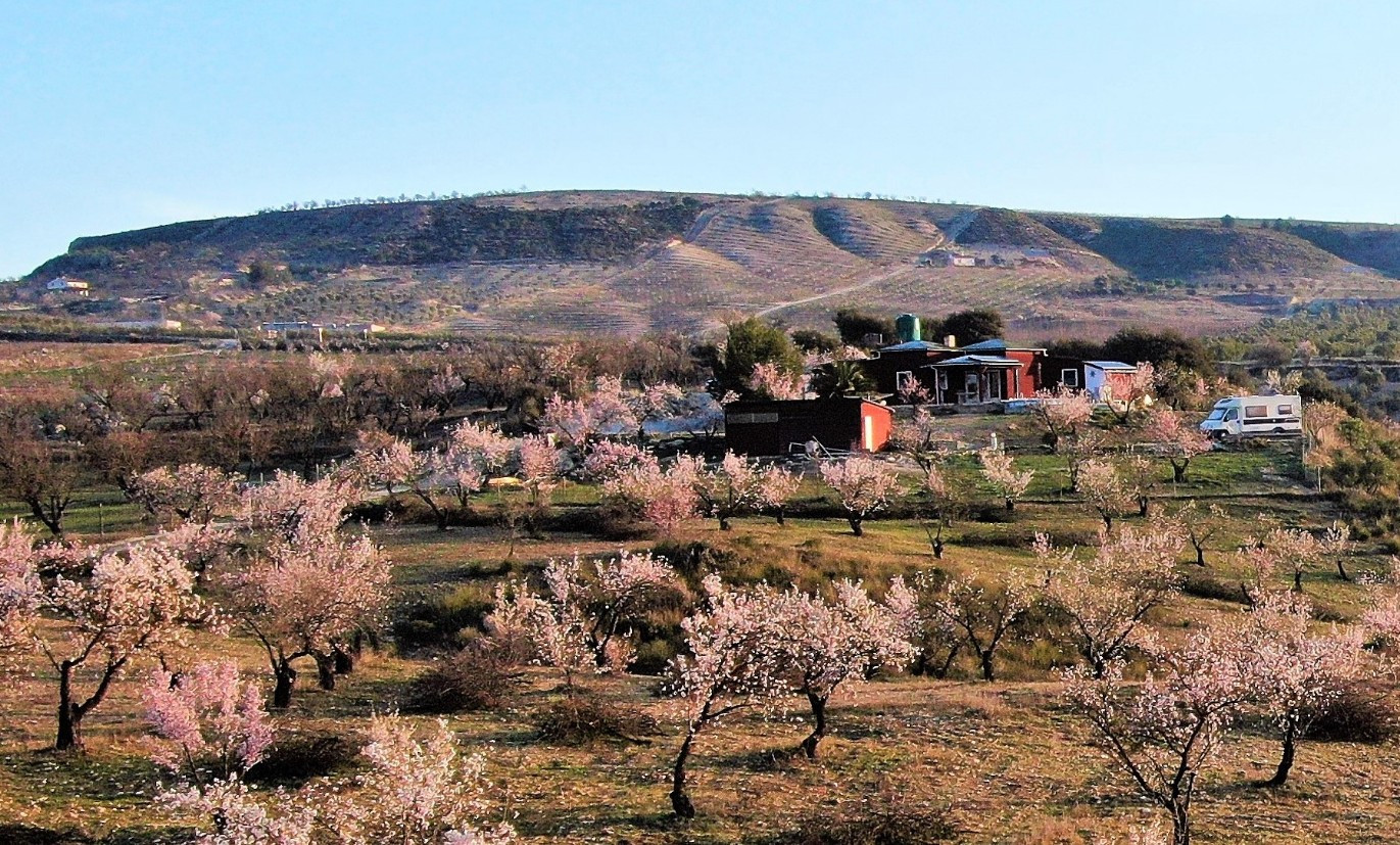 
                                                Vente
                                                 Petit paradis